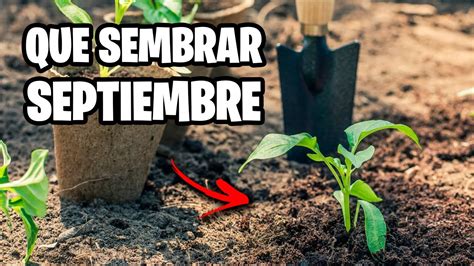 Que sembrar en SEPTIEMBRE para Huerto y Jardín Mini Calendario de