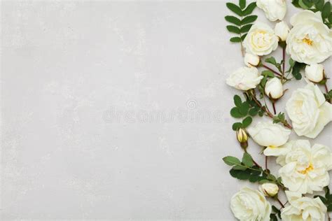 Border Of White Rose Flowers And Green Leaves On Light Gray Background