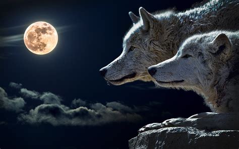 Wolf Full Moon Wallpaper - WallpaperSafari