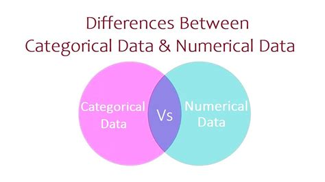 Differences Between Categorical Data And Numerical Data Youtube