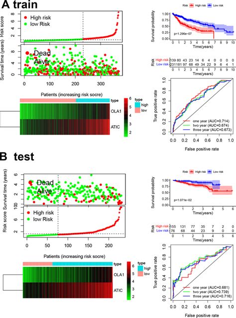 Prognostic Model Of The Train Tcga Cohort And Test Icgc Cohort