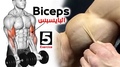 How To Build Your Biceps Fast 5 Effective Exercises تمارين البايسبس