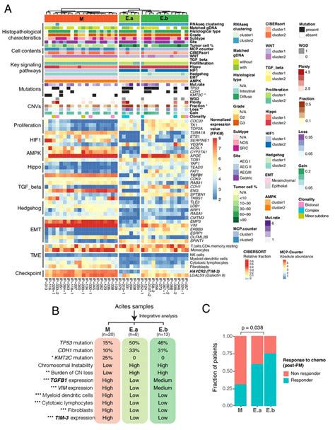 Integrative Clustering Of Clinical Genomic And Expression Features Of