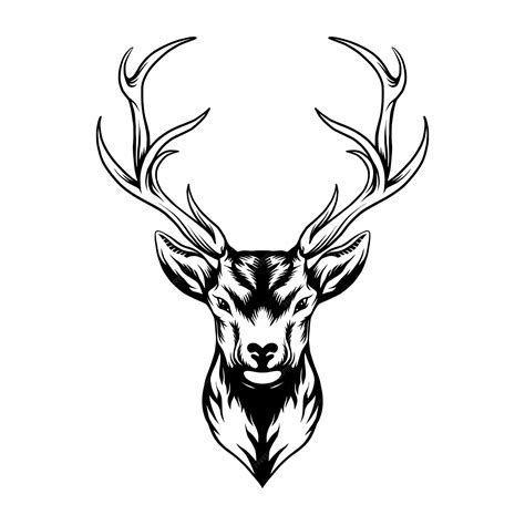 Premium Vector Deer Head Logo