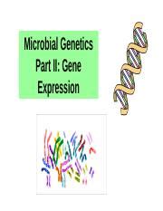 Lecture Microbial Genetics Part Ii Pptx Microbial Genetics Part Ii