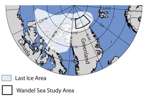 Climate Change Is Threatening The Arctic S Last Ice Area World