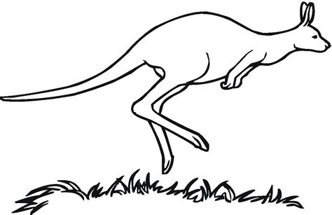 Free Kangaroo Jumping Cliparts, Download Free Kangaroo Jumping Cliparts png images, Free ...