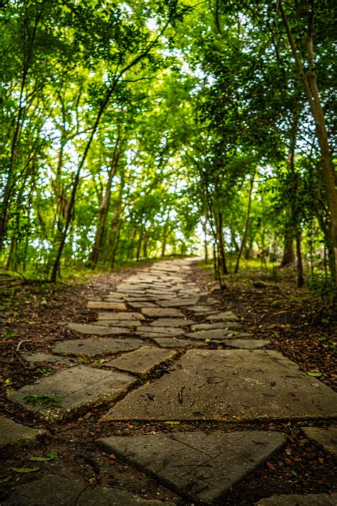 Trails - New Orleans City Park