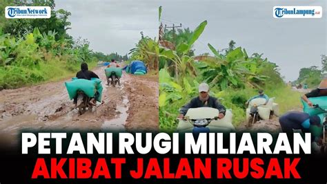 Akibat Jalan Rusak Petani Di Mesuji Merugi Hingga Miliaran Rupiah