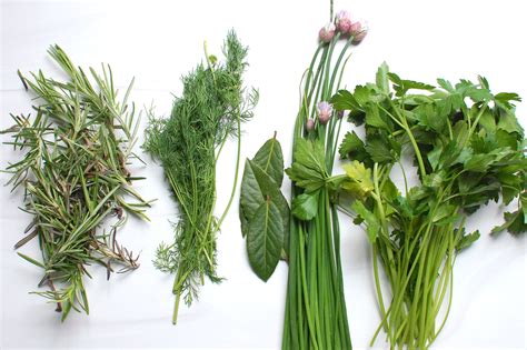 How To Store Fresh Herbs A Guide To Storing Fresh Herbs