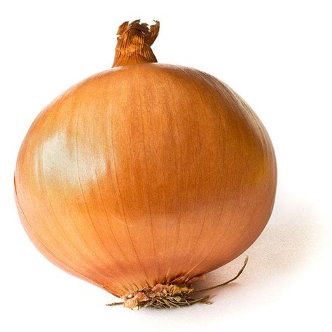 Why Do Onions Make You Cry