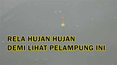 Rela Hujan Hujanan Demi Lihat Pelampung Mancing Nila Umpan Lumut