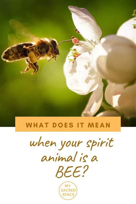 What Does A Bee Spirit Animal Mean And Symbolize