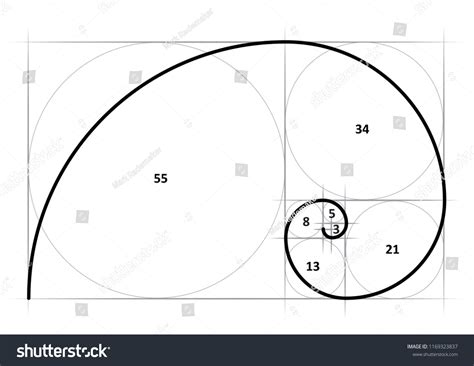 Leonardo Da Vinci Day Golden Ratio Stock Vector Royalty Free 1169323837