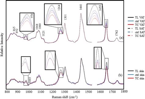 Raman Spectra Of A The Vat And Sat And B The Skin Of The Animals