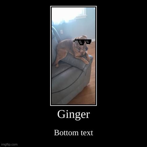 Ginger Imgflip