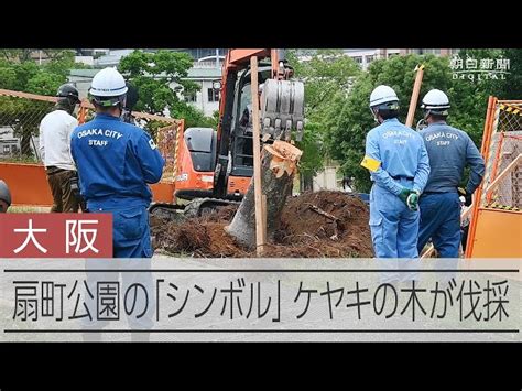 麻生氏が上川外相への容姿発言を撤回 「表現、不適切だった」 動画：朝日新聞デジタル