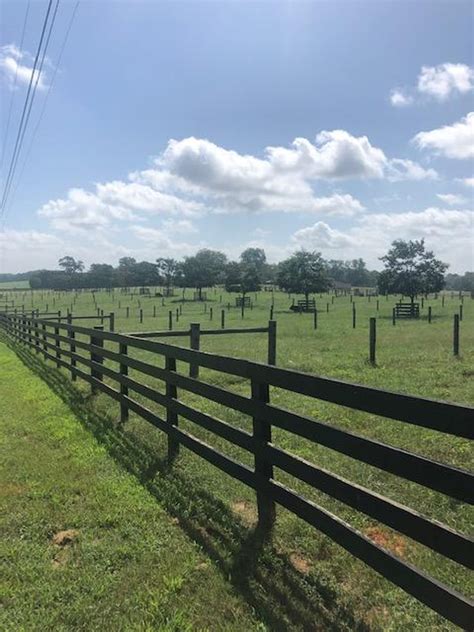 280 Acre Cattlehorse Farm Meriwether County Woodbury Ga