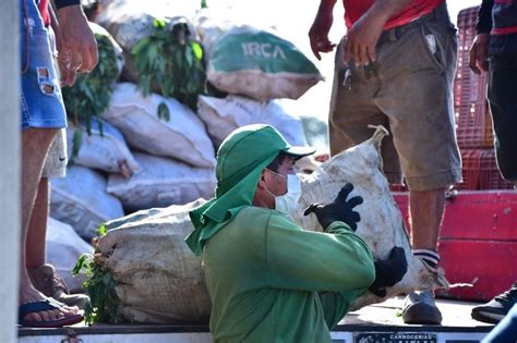 Governo Distribuiu Mais De Toneladas De Alimentos Em V Rias Regi Es