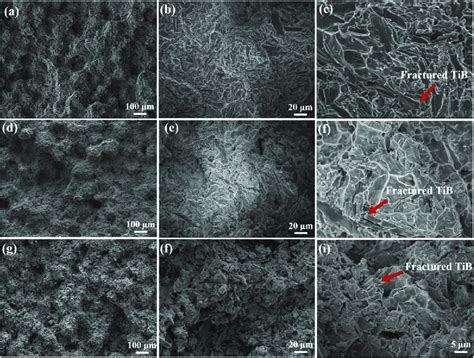 Fracture Surfaces Of The As Hiped Wt Tibw Ti Al V Composite At