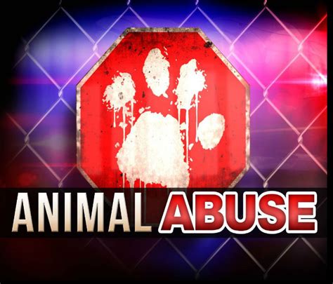 Viral Video Leads To Animal Abuse Investigation