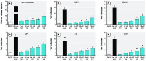 Effect Of TFZ On Adipo Genesis In 3T3 L1 Cells The Adipogenic Effect