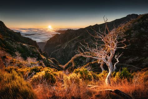 The Majestic Landscape Of Madeira Tomas Havel Photography