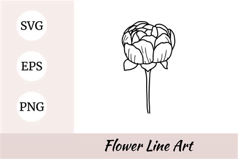 Peony Flower Line Art Graphic By Nurdesign99 · Creative Fabrica