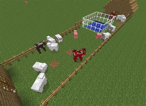 Small Petting Zoo Minecraft Project