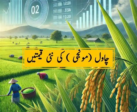 Rice Price In Pakistan 01 March 2025 JBMS