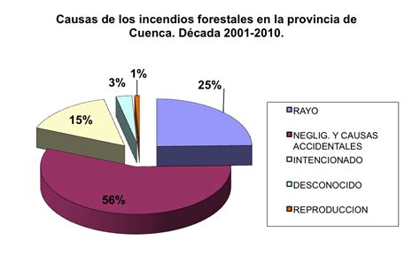 Las Causas De Los Incendios Forestales En La Provincia De Cuenca