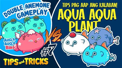 Double Anemone Aqua Aqua Bird Gameplay 7 Laban Sa Mga Aqua Aqua