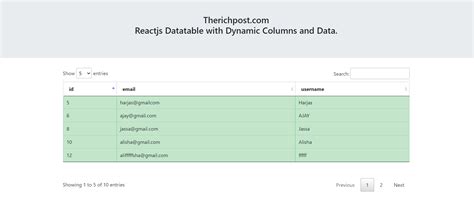 Reactjs Drag And Drop Form Builder Working Demo Therichpost