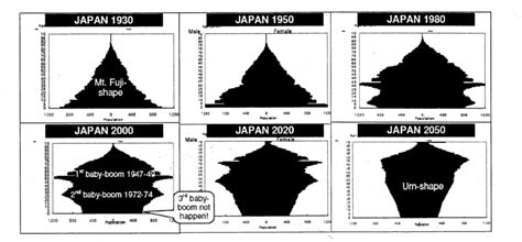 Japan Population Pyramid | Download Scientific Diagram