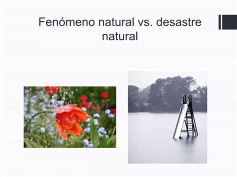 Desastres Naturales Ppt Descarga Gratuita