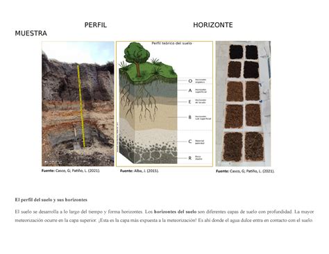 Perfil Horizonte Muestra PERFIL HORIZONTE MUESTRA El Perfil Del Suelo