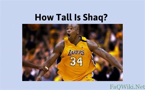 How Tall Is Shaq Faqwiki