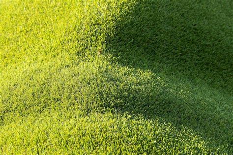 Textura Del Fondo Del Campo De Hierba Verde Enfoque Suave Foto Premium