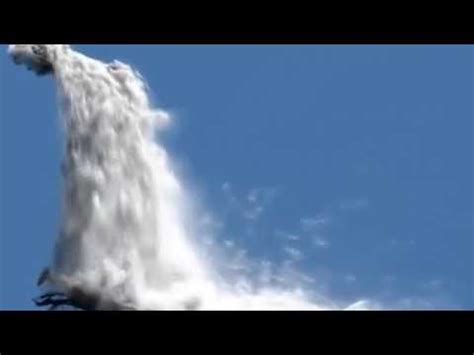 yung sherman – djungelboken - YouTube