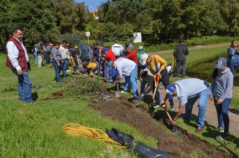 Contextos Regionales REGISTRA PROGRAMA ESTATAL DE REFORESTACIÓN 85 POR