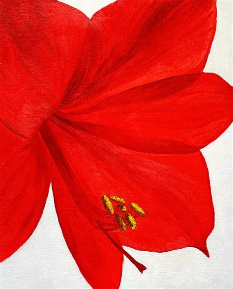 Amaryllis Flower Painting by Masha Batkova - Fine Art America