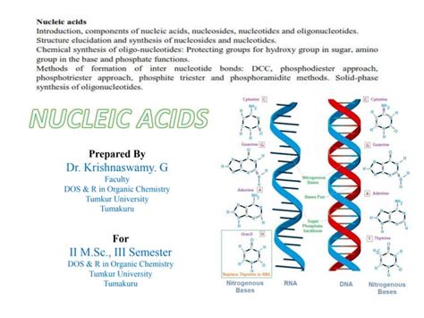 Nucleic Acids Ppt