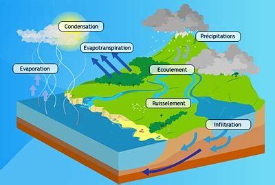 Le Cycle De L Eau Cycle De L Eau Projet Cycle De L Eau Cycle Des Roches