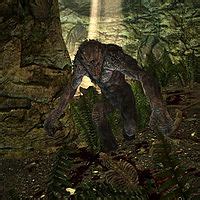 Skyrim:Troll - The Unofficial Elder Scrolls Pages (UESP)