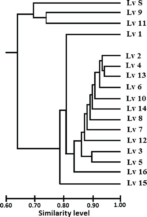 Dendrogram Of Tropical Sprangletop Populations Based On Nei S Nei