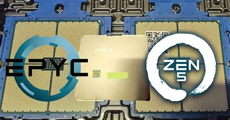 Amds Next Gen Zen 5 Epyc Turin Cpus Pictured Leak Reveals 128 Core Zen 5 And 192 Core Zen 5c