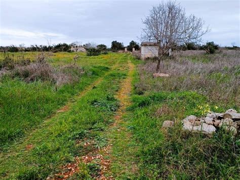 Terreno Agricolo Strada Vicinale Masseria Simone Salve Rif 108596257