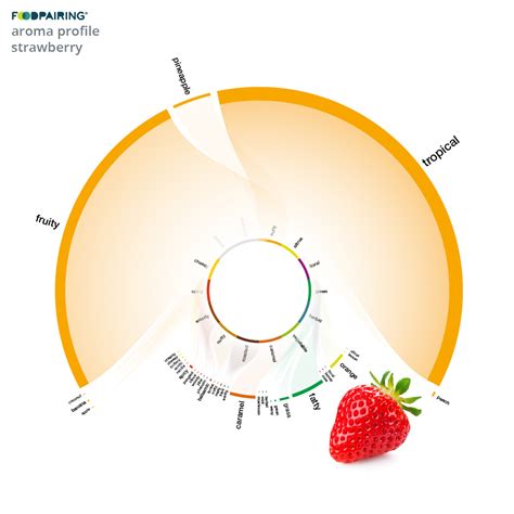 How To Interpret An Aroma Profile Foodpairing Blog