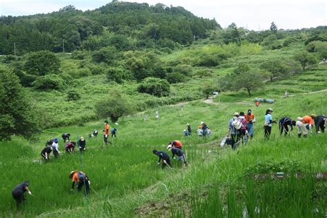 草刈り、草取り体験、生き物教室終了しました。 棚田ブログ・静岡県菊川市倉沢の棚田「せんがまち」