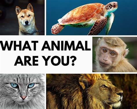 Are You Phun Forum Material? This Quiz Will Tell You! Image 12